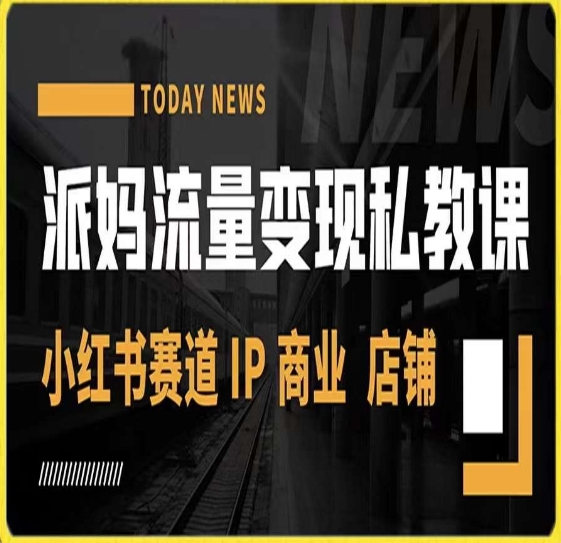 派妈流量变现私教课,小红书赛道IP 商业 店铺 |淘骐网赚资源库