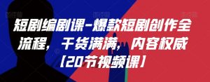 短剧编剧课-爆款短剧创作全流程,干货满满,内容权威【20节视频课】|淘骐网赚资源库