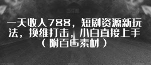 一天收入788,短剧资源新玩法,换维打击,小白直接上手(附百G素材)【揭秘】|淘骐网赚资源库