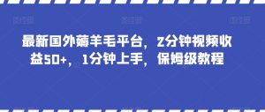 最新国外薅羊毛平台，2分钟视频收益50+，1分钟上手，保姆级教程【揭秘】|淘骐网赚资源库