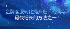 金牌客服转化提升班，利润率最快增长的方法之一|淘骐网赚资源库