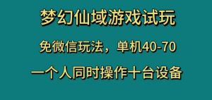 梦幻仙域游戏试玩,免微信玩法,单机40-70,一个人同时操作十台设备【揭秘】|淘骐网赚资源库