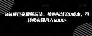 B站项目变现新玩法,神贴私域流0成本,可轻松实现月入6000+【揭秘】|淘骐网赚资源库