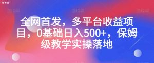 全网首发,多平台收益项目,0基础日入500+,保姆级教学实操落地【揭秘】|淘骐网赚资源库