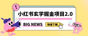 小红书玄学掘金项目,值得常驻的蓝海项目,日入3000+附带引流方法以及渠道【揭秘】|淘骐网赚资源库