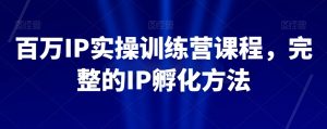 百万IP实操训练营课程，完整的IP孵化方法|淘骐网赚资源库