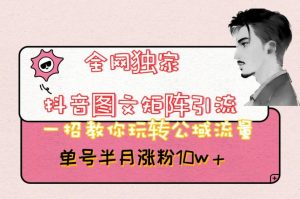 全网独家抖音图文矩阵引流，一招教你玩转公域流量，单号半月涨粉10w+【揭秘】|淘骐网赚资源库