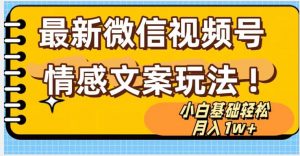 微信视频号情感文案最新玩法，小白轻松月入1万+无脑搬运【揭秘】|淘骐网赚资源库