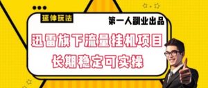 迅雷旗下流量挂机项目，长期稳定可实操【揭秘】|淘骐网赚资源库