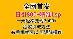全网首发!日引800+精准老色批,一天变现2000+,独家引流方法,可矩阵操作【揭秘】|淘骐网赚资源库