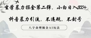 玄学暴力掘金第二弹,小白日入500+,抖音暴力引流,不违规,术封号,八字命理掘金AI玩法【揭秘】|淘骐网赚资源库