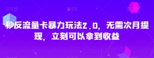 秒反流量卡暴力玩法2.0，无需次月提现，立刻可以拿到收益【揭秘】|淘骐网赚资源库