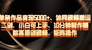 单条作品变现5000+、外网视频搬运二创,小白可上手,10分钟制作爆款高原创视频,矩阵操作【揭秘】|淘骐网赚资源库