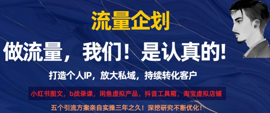 流量企划，打造个人IP，放大私域，持续转化客户【揭秘】|淘骐网赚资源库