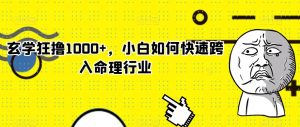 玄学狂撸1000+,小白如何快速跨入命理行业【揭秘】|淘骐网赚资源库