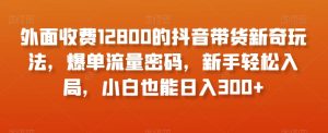 外面收费12800的抖音带货新奇玩法，爆单流量密码，新手轻松入局，小白也能日入300+【揭秘】|淘骐网赚资源库