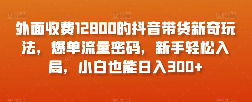 外面收费12800的抖音带货新奇玩法,爆单流量密码,新手轻松入局,小白也能日入300+【揭秘】|淘骐网赚资源库