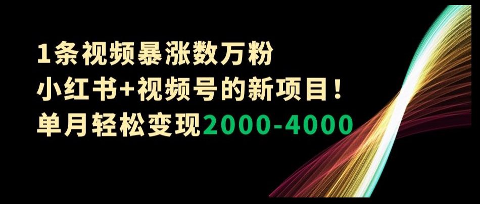 1条视频暴涨数万粉–小红书+视频号的新项目!单月轻松变现2000-4000【揭秘】|淘骐网赚资源库
