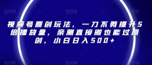 视频号原创玩法，一刀不剪提升5倍播放量，亲测直接搬也能过原创，小白日入500+【揭秘】|淘骐网赚资源库