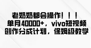 老奶奶都会操作，新平台无脑操作，单月40000+，vivo短视频创作分成计划【揭秘】|淘骐网赚资源库