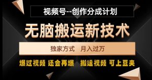 视频号无脑搬运新技术，破原创壕流量，独家方式，爆过视频，还会再爆【揭秘】|淘骐网赚资源库