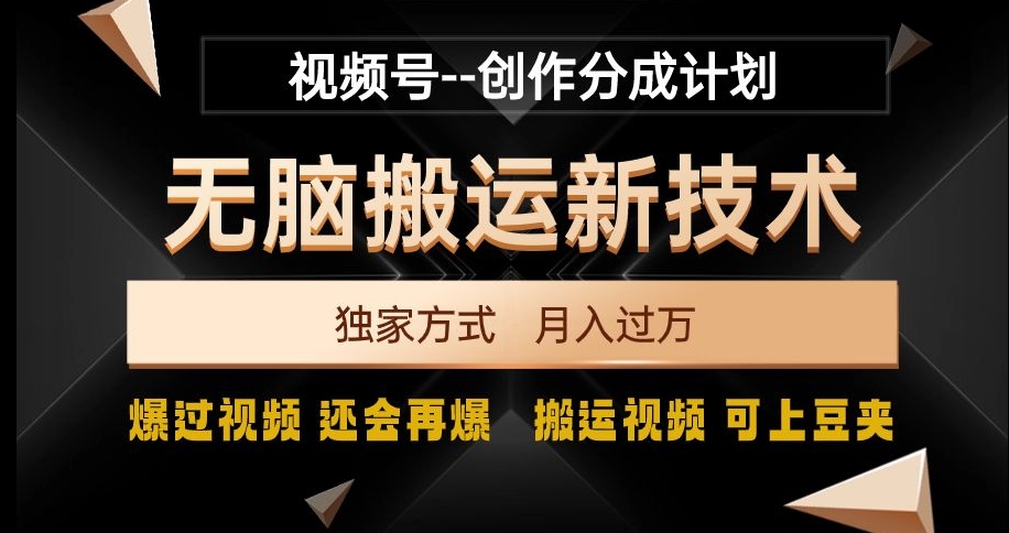 视频号无脑搬运新技术，破原创壕流量，独家方式，爆过视频，还会再爆【揭秘】|淘骐网赚资源库
