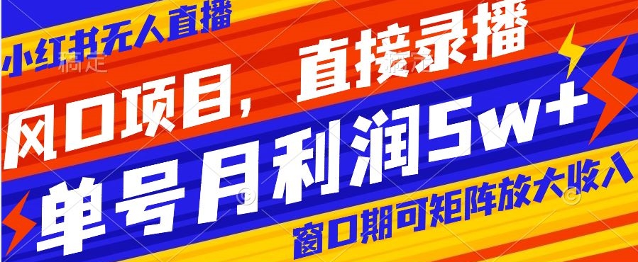 风口项目,小红书无人直播带货,直接录播,可矩阵,月入5w+【揭秘】|淘骐网赚资源库