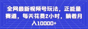 全网最新视频号玩法，正能量赛道，每天花费2小时，躺着月入10000+【揭秘】|淘骐网赚资源库