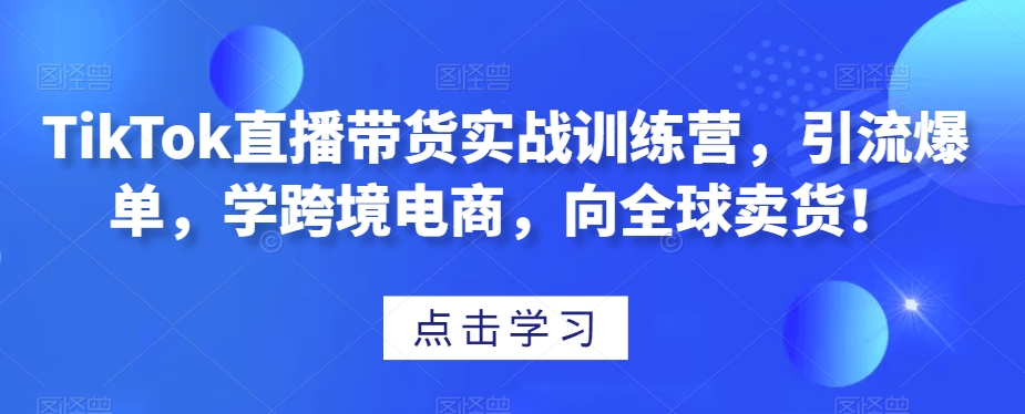 TikTok直播带货实战训练营,引流爆单,学跨境电商,向全球卖货!|淘骐网赚资源库
