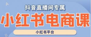 小红书电商高级运营课程,实操教学+案例分析|淘骐网赚资源库
