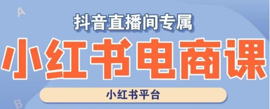 小红书电商高级运营课程,实操教学+案例分析|淘骐网赚资源库