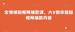 全领域短视频爆款课,全网两千万粉丝大V教你做短视频爆款内容|淘骐网赚资源库