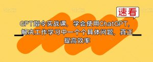 GPT指令实战课,学会使用ChatGPT,解决工作学习中一个个具体问题,真正提高效率|淘骐网赚资源库