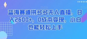 蓝海赛道拼多多无人直播,日入2600+,0成本变现,小白也能轻松上手【揭秘】|淘骐网赚资源库