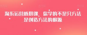 淘系运营核心课,你学的不是只方法是创造方法的根源|淘骐网赚资源库