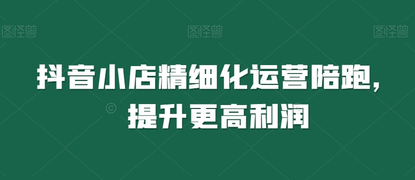抖音小店精细化运营陪跑,提升更高利润|淘骐网赚资源库