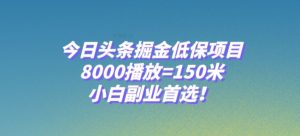 今日头条掘金低保项目，8000播放=150米，小白副业首选【揭秘】|淘骐网赚资源库