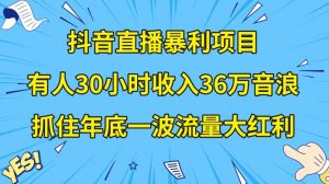 抖音直播暴利项目,有人30小时收入36万音浪,公司宣传片年会视频制作,抓住年底一波流量大红利【揭秘】|淘骐网赚资源库