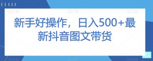 新手好操作，日入500+最新抖音图文带货【揭秘】|淘骐网赚资源库