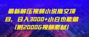 最新解压视频小说推文项目,日入3000+小白也能做(附2000G视频素材)【揭秘】|淘骐网赚资源库