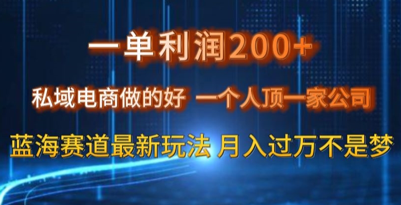 一单利润200私域电商做的好，一个人顶一家公司蓝海赛道最新玩法【揭秘】|淘骐网赚资源库