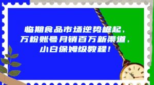 临期食品市场逆势崛起，万粉账号月销百万新渠道，小白保姆级教程【揭秘】|淘骐网赚资源库