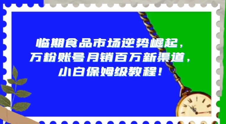 临期食品市场逆势崛起，万粉账号月销百万新渠道，小白保姆级教程【揭秘】|淘骐网赚资源库