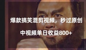 爆款搞笑混剪视频，百分百过原创，单日中视频播放收益800+【揭秘】|淘骐网赚资源库