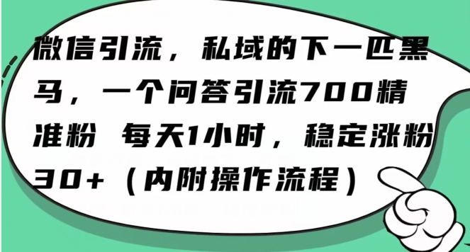 怎么搞精准创业粉？微信新赛道，每天一小时，利用Ai一个问答日引100精准粉|淘骐网赚资源库