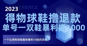 2023得物球鞋撸退款,单号一双鞋暴利撸1000,一个比得物球鞋搬砖暴利10倍的项目【揭秘】|淘骐网赚资源库