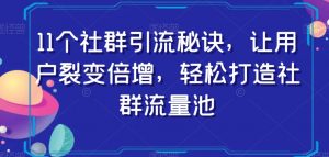11个社群引流秘诀，让用户裂变倍增，轻松打造社群流量池|淘骐网赚资源库