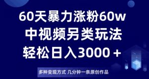 60天暴力涨粉60W，中视频另类玩法，日入3000＋，几分钟一条原创作品多种变现方式|淘骐网赚资源库