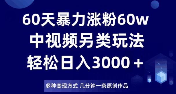 60天暴力涨粉60W，中视频另类玩法，日入3000＋，几分钟一条原创作品多种变现方式|淘骐网赚资源库