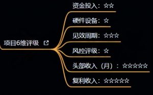 十万个富翁修炼宝典之4.一个大学生操作这个项目,一个月能搞一万|淘骐网赚资源库